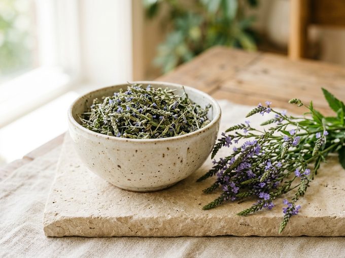 Blue Vervain (Verbena hastata)